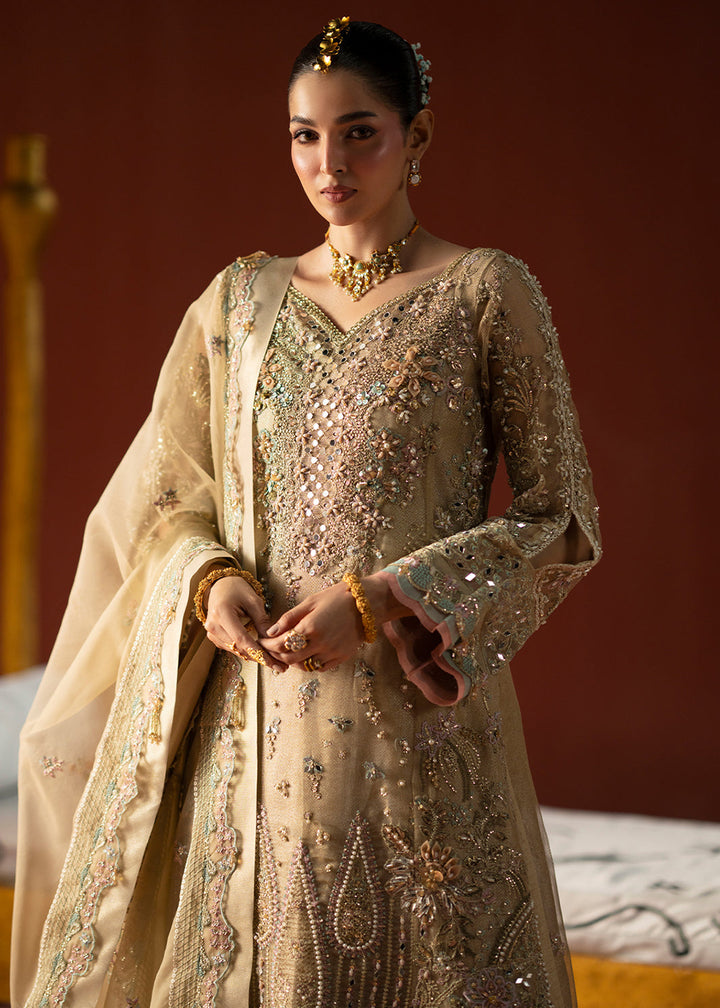 Buy Now Signature Wedding Formals &