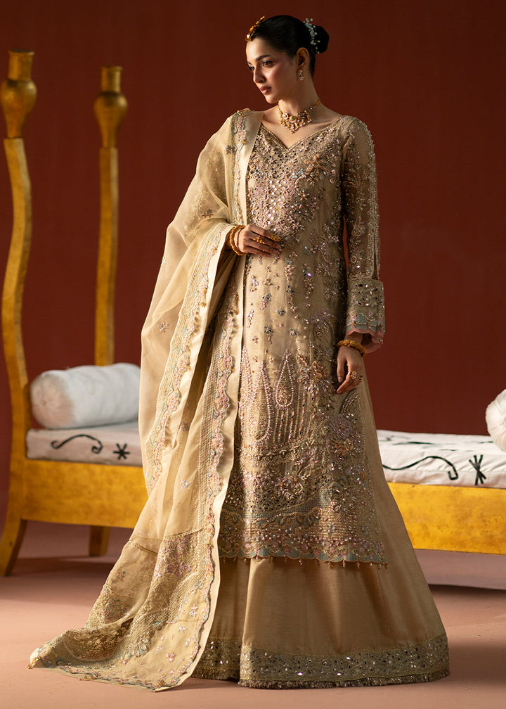 Buy Now Signature Wedding Formals &