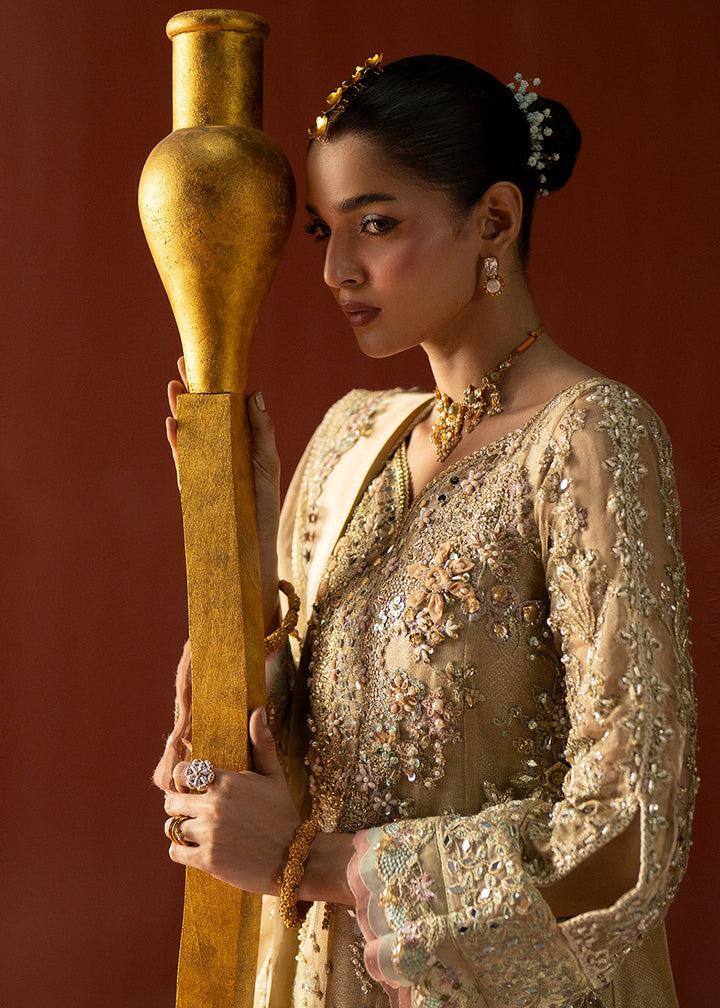Buy Now Signature Wedding Formals &