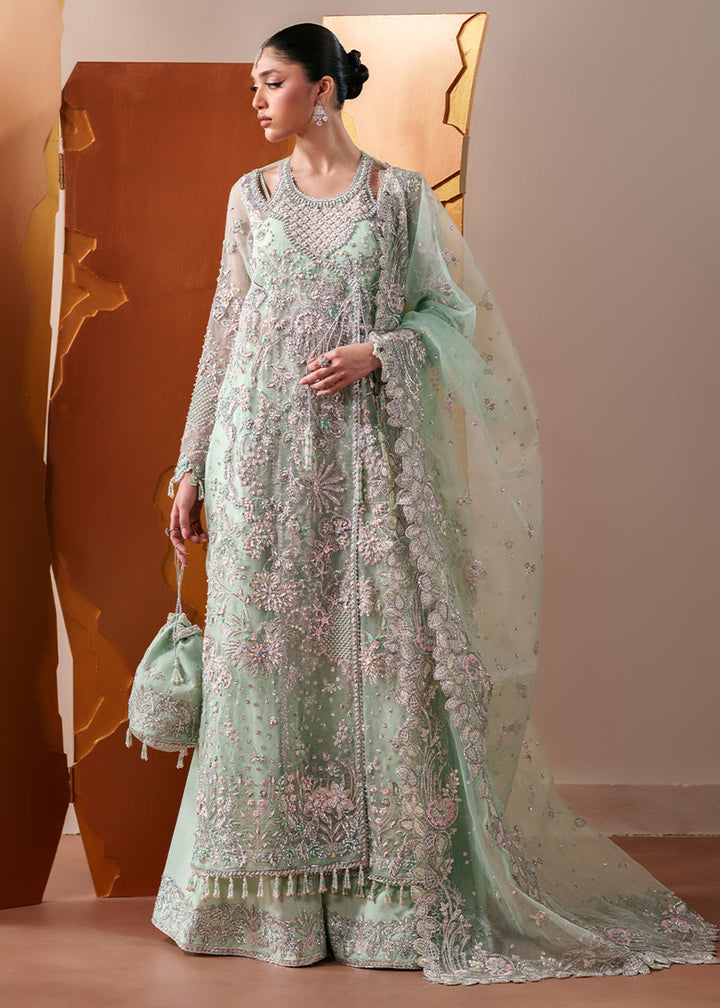 Buy Now Starlit Jewels Luxury Formals &
