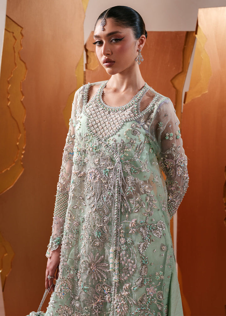 Buy Now Starlit Jewels Luxury Formals &