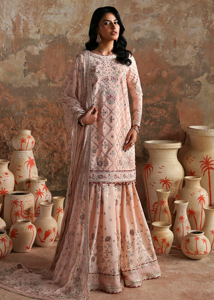 Afsana e Silk Formals '25 by Emaan Adeel | NAZNEEN