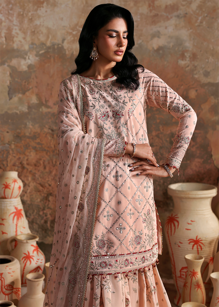 Afsana e Silk Formals '25 by Emaan Adeel | NAZNEEN