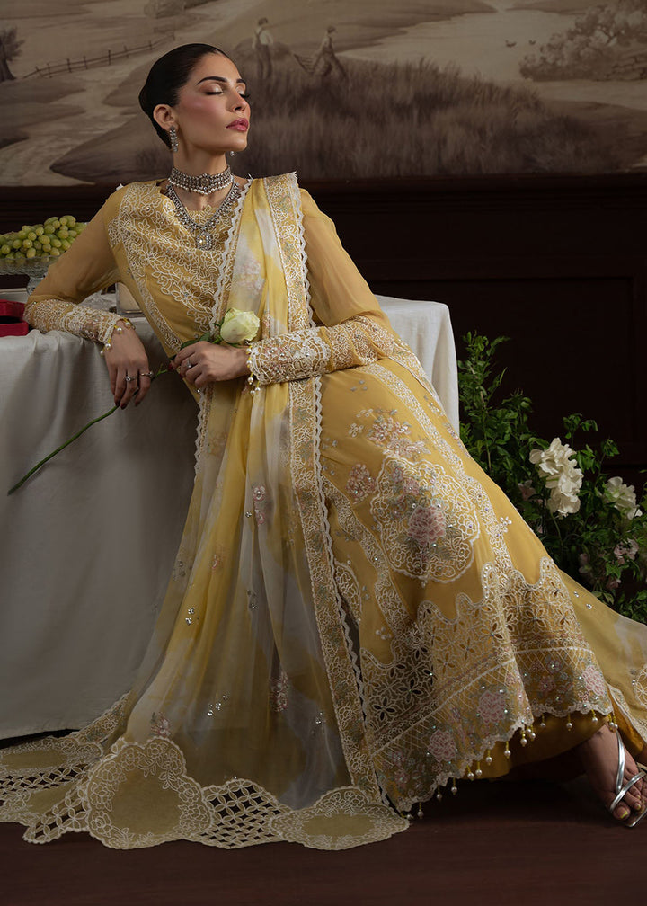 Buy Now Elanora Embroidered Formals '25 by Nureh | NEL-76 Online in USA, UK, Canada, Germany, Italy, Austria, France, UAE & Worldwide at Empress Clothing.