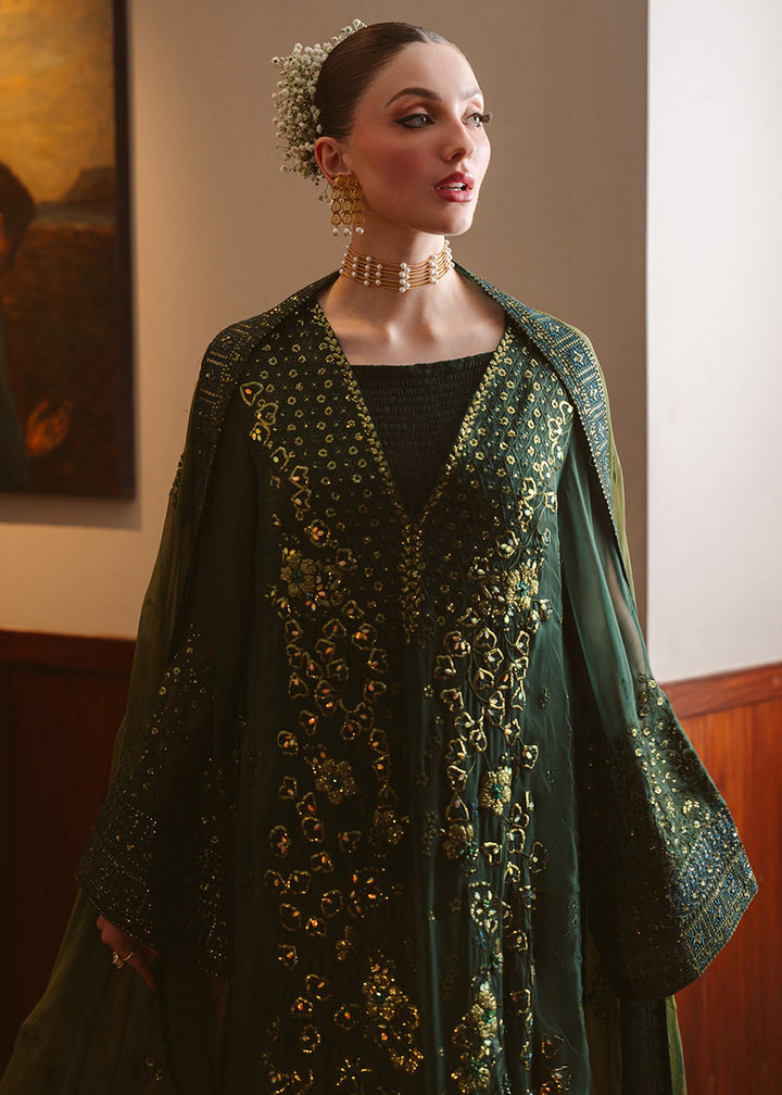 Buy Now Elaya Luxury Chiffons &