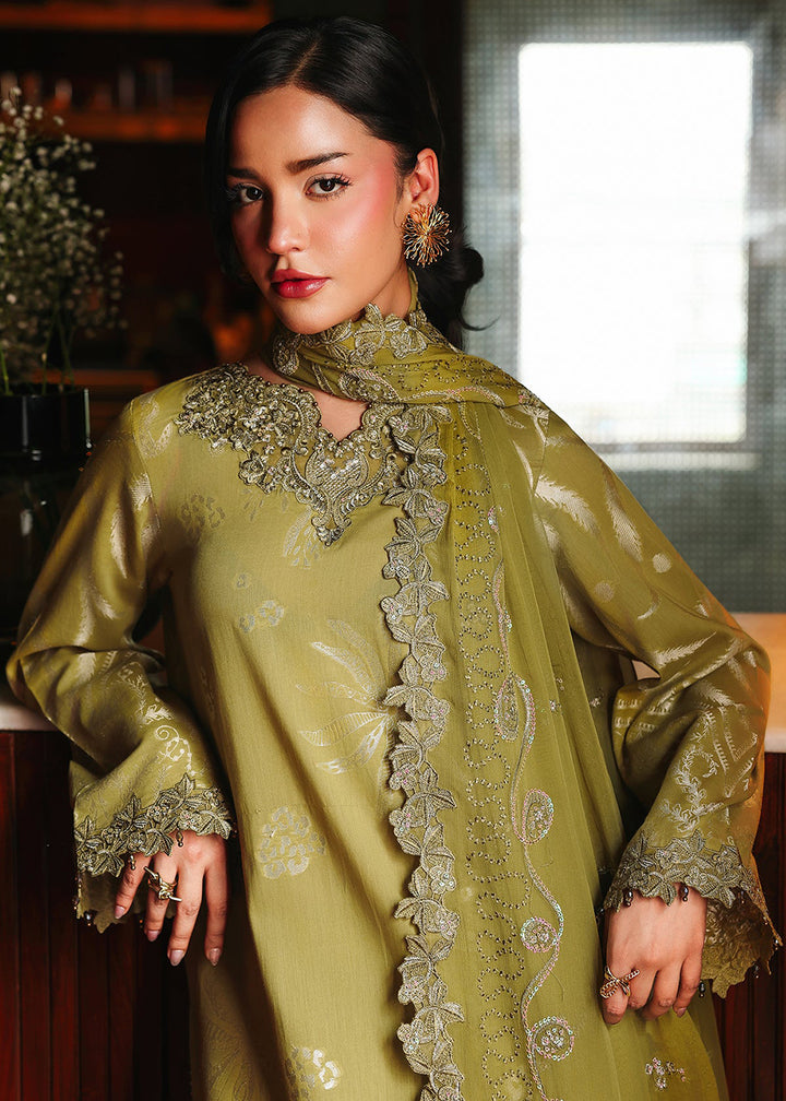 Buy Now Maya Jacquard Collection &