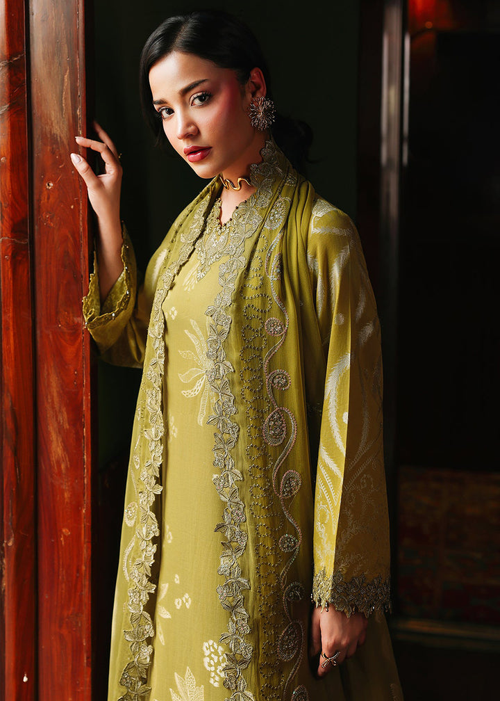 Buy Now Maya Jacquard Collection &