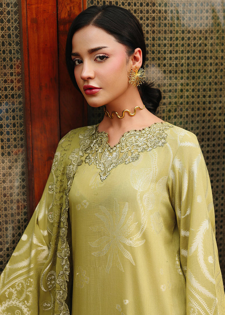 Buy Now Maya Jacquard Collection &