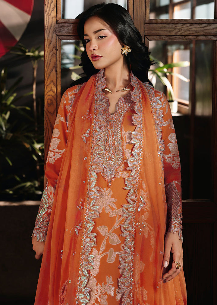 Buy Now Maya Jacquard Collection &