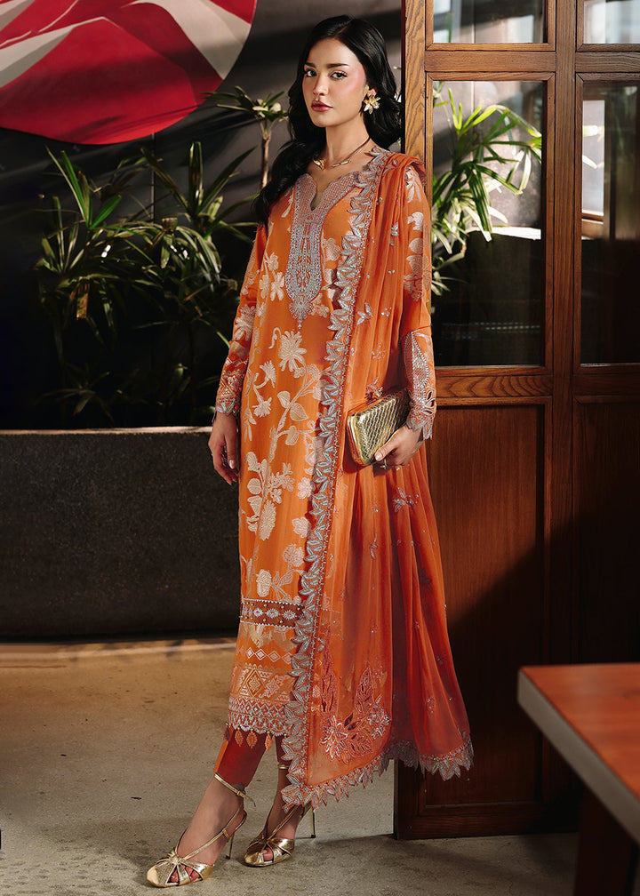 Buy Now Maya Jacquard Collection &