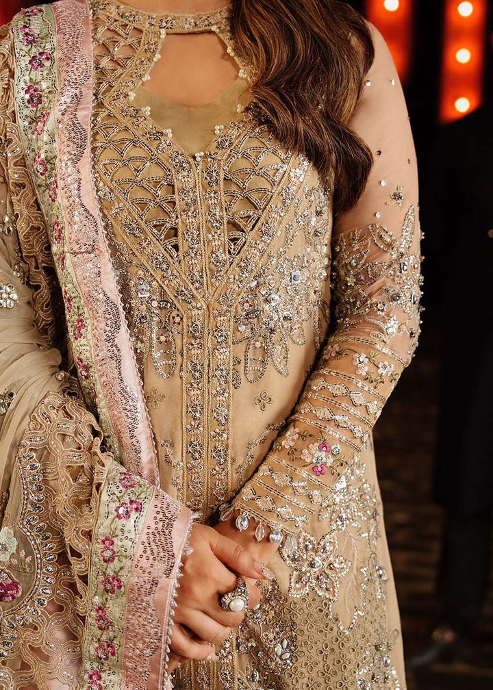 Buy Now Jhoomro Luxury Formals '25 by Nureh | NL-85 Raina Online in US, UK, Canada, Germany, Italy, Austria, France, Singapore, UAE & Worldwide at Empress.