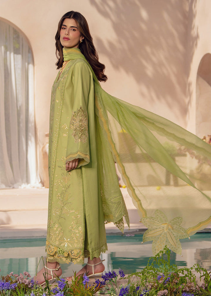 Buy Now Luxury Eid Collection 26 by Rang Rasiya | Nadine Online in US, UK, Canada, France, Greece, Germany, Ireland, Sweden, Denmark, UAE & Worldwide at Empress