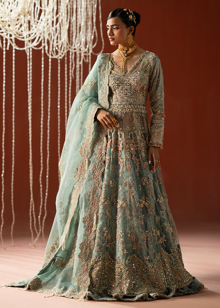 Buy Now Signature Wedding Formals &