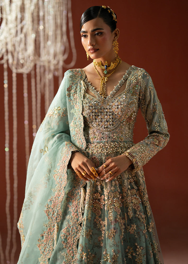Buy Now Signature Wedding Formals &