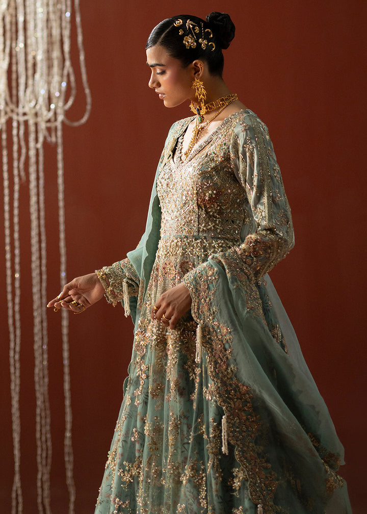 Buy Now Signature Wedding Formals &