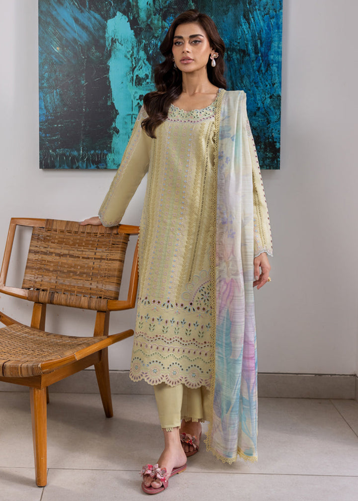 Buy Now Carnation Luxury Festive Edit ’25 by Rang Rasiya | Nora Online in USA, UK, Canada, Germany, Italy, Austria, France, UAE & Worldwide at Empress Clothing.