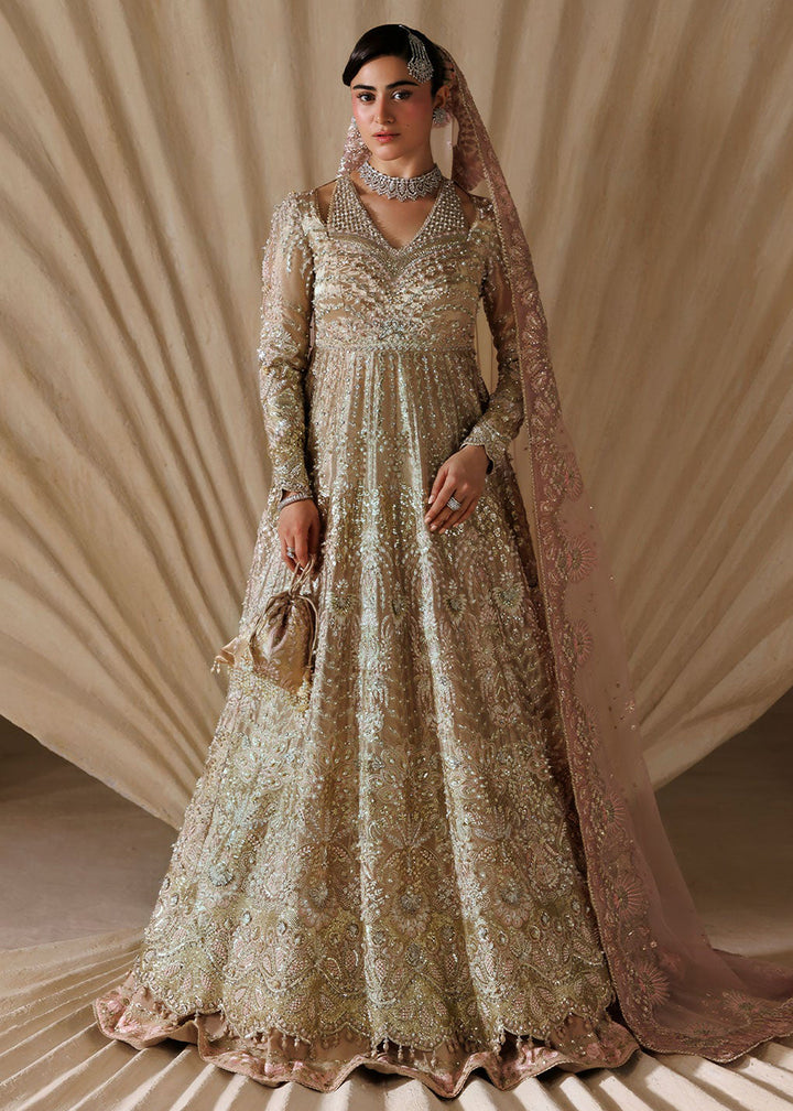 Buy Now Brides Edit &