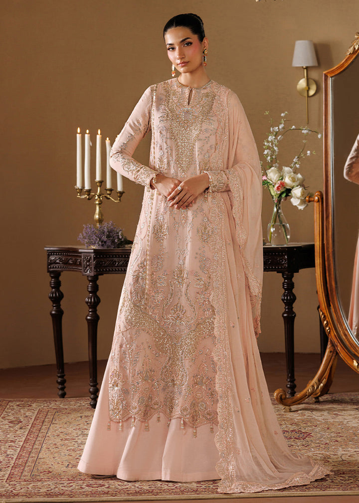 Buy Now Celeste Festive Edit &