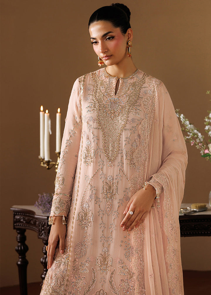 Buy Now Celeste Festive Edit &