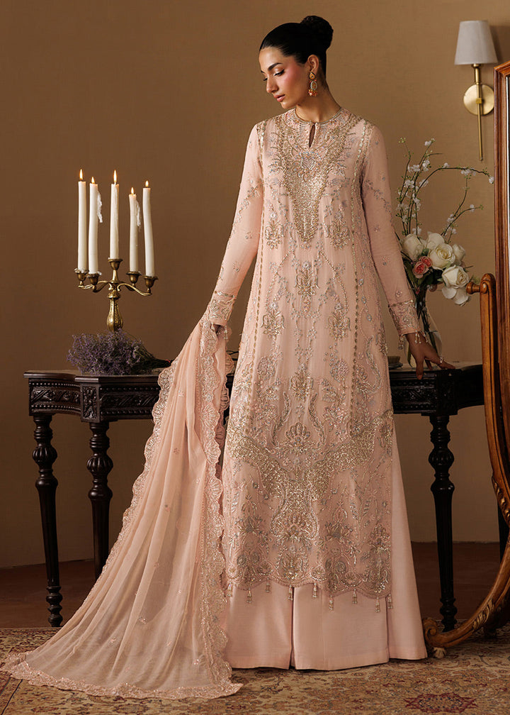 Buy Now Celeste Festive Edit &