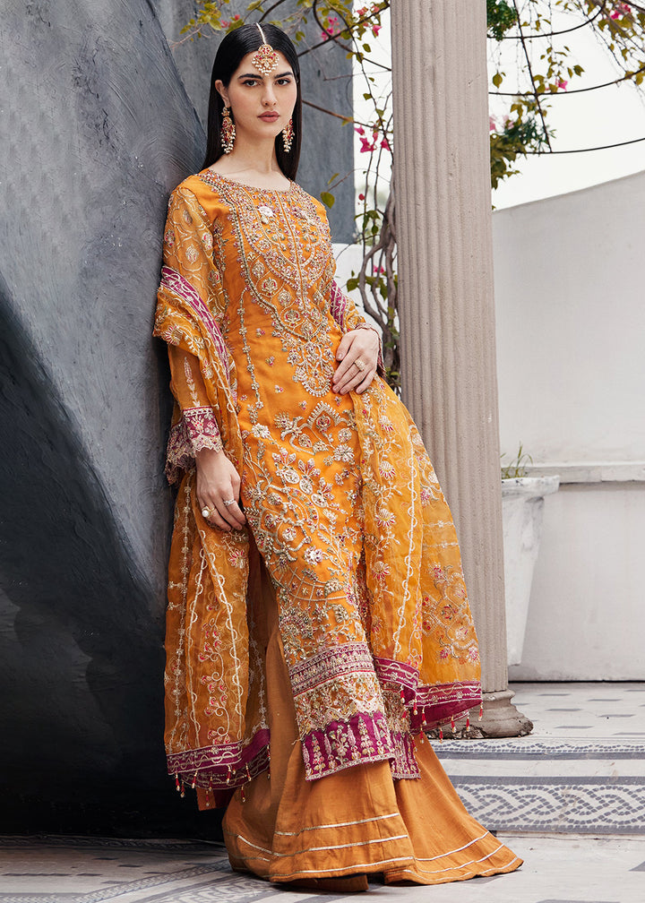 Buy Now Nawabzadi Wedding Formals '24 by Emaan Adeel | RUHAB Online at Empress Online in USA, UK, Canada & Worldwide at Empress Clothing.