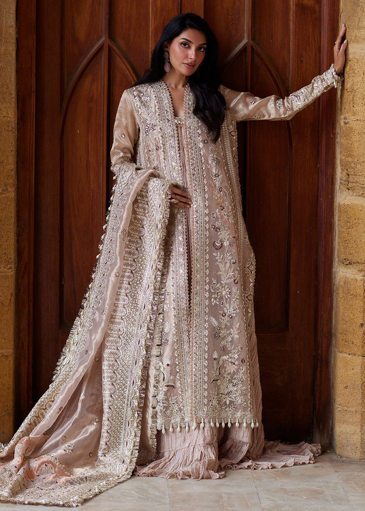 Buy Now Dastangoi Wedding Formals &