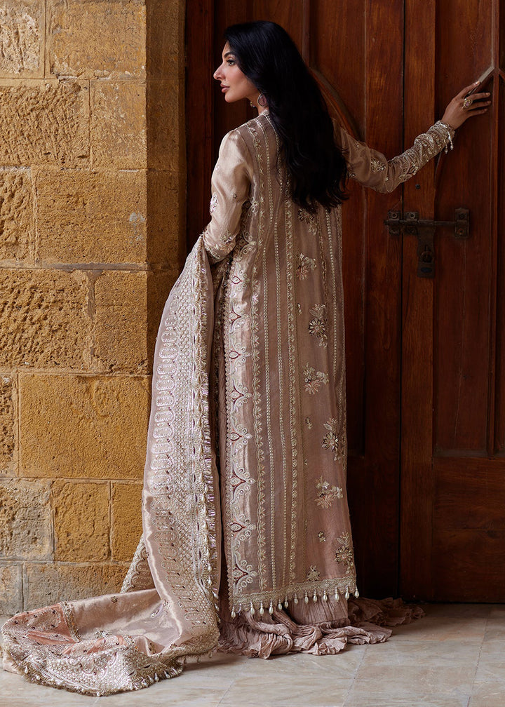 Buy Now Dastangoi Wedding Formals &