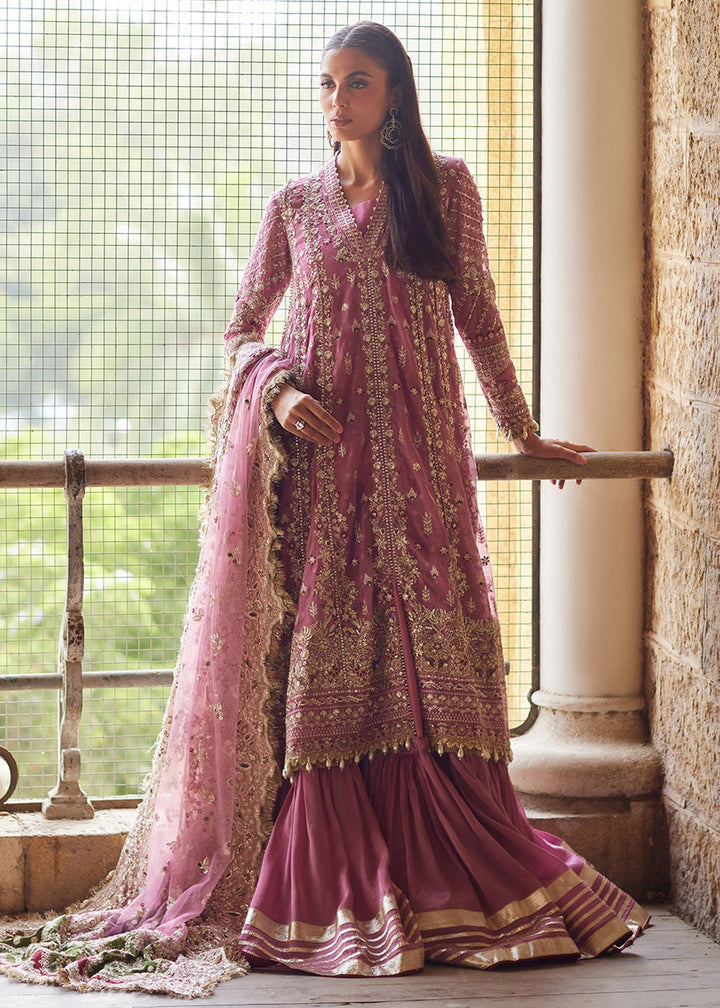 Buy Now Dastangoi Wedding Formals &