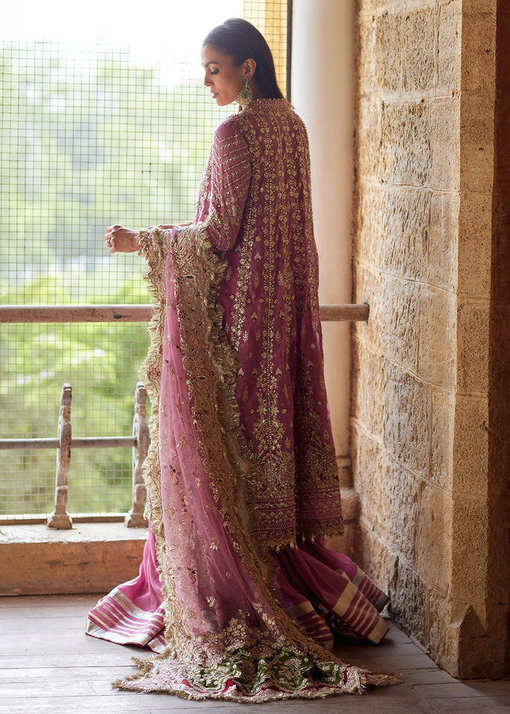 Buy Now Dastangoi Wedding Formals &