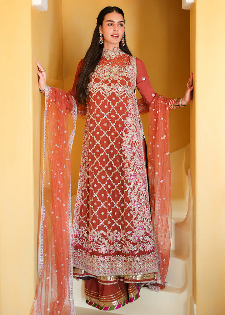 Buy Bachelorette Chronicles Chiffons ‘26 by Mushq | ROSE ORANGE Online in US, UK, Canada, France, Greece, Germany, Sweden, Australia &amp; Worldwide at Empress.