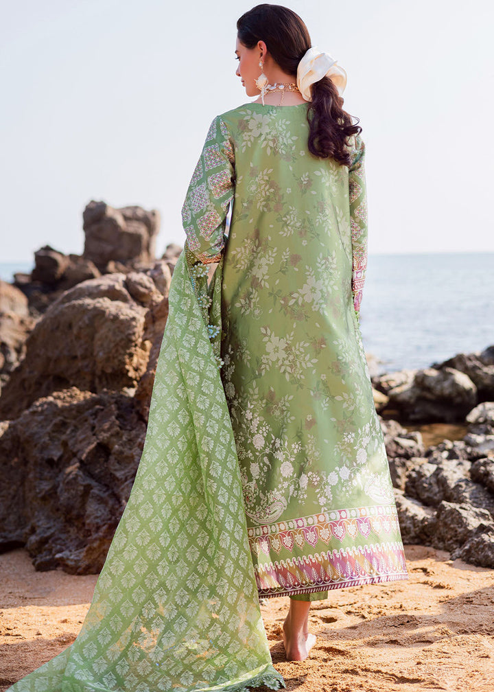 Buy Now The Silk Collection &