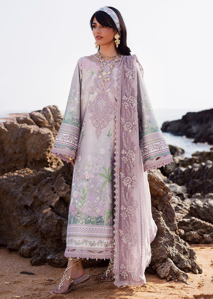Buy Now The Silk Collection &