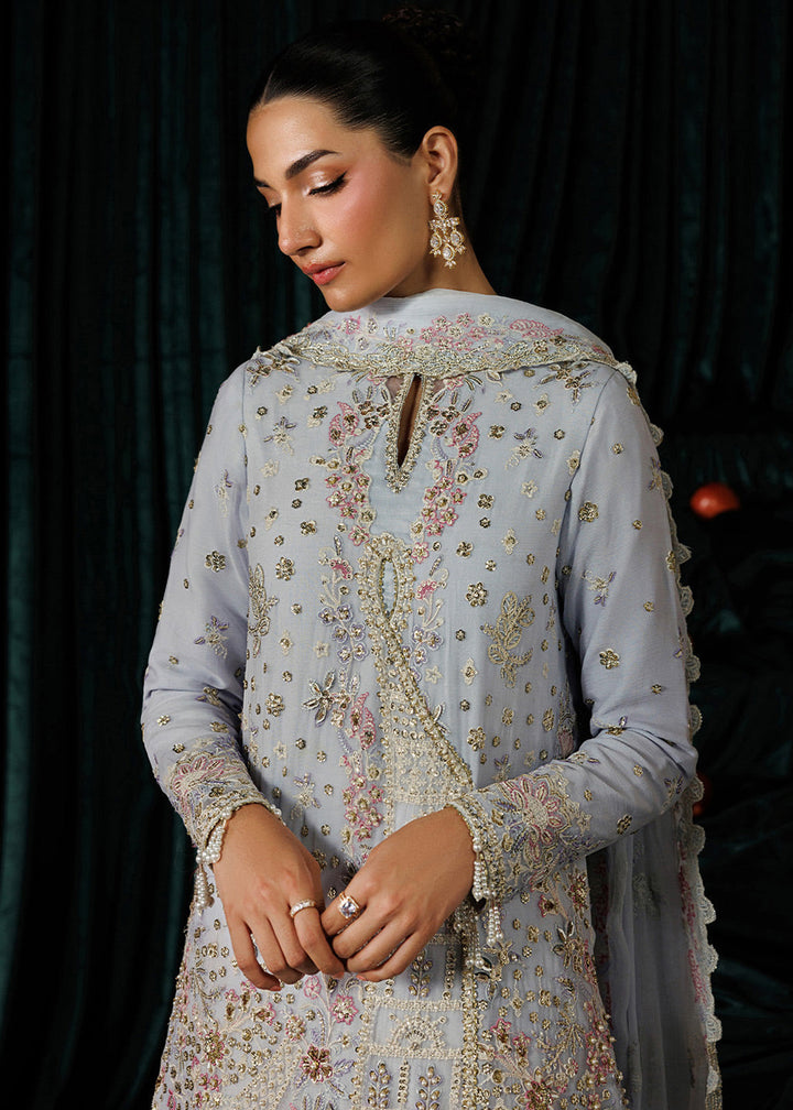 Buy Now Celeste Festive Edit &