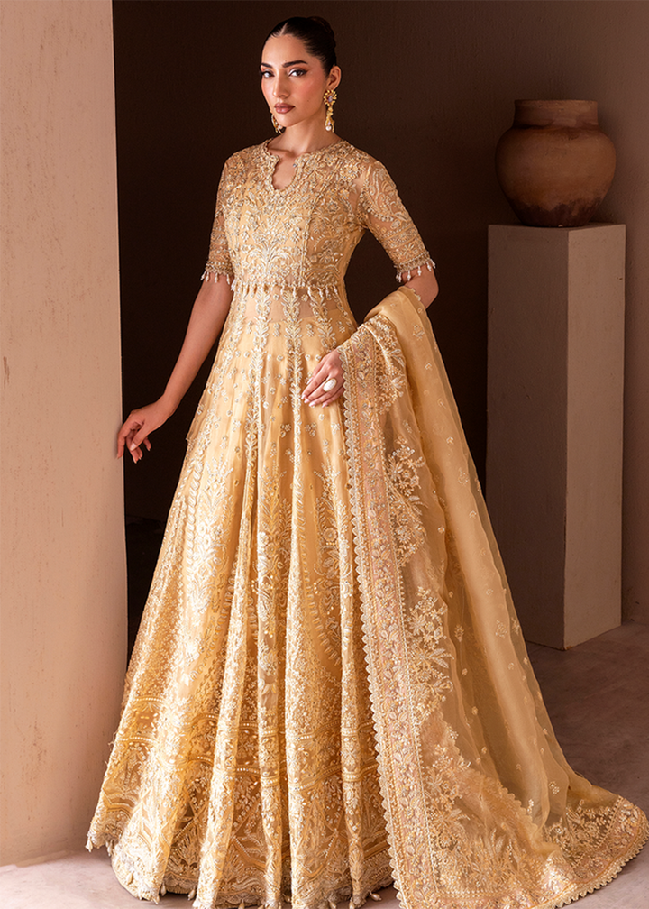 Buy Now Clay & Couture Wedding Formals 25 by Emaan Adeel | SEREN Online in USA, UK, Canada, France, Italy, Germany, Greece, Africa, UAE & Worldwide at Empress.
