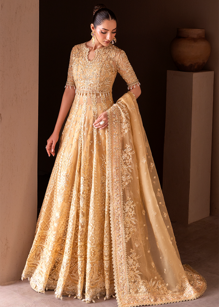 Buy Now Clay & Couture Wedding Formals 25 by Emaan Adeel | SEREN Online in USA, UK, Canada, France, Italy, Germany, Greece, Africa, UAE & Worldwide at Empress.