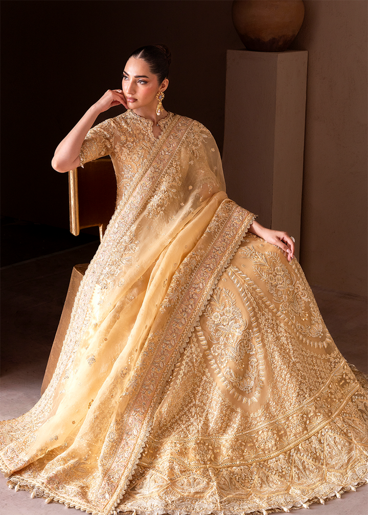 Buy Now Clay & Couture Wedding Formals 25 by Emaan Adeel | SEREN Online in USA, UK, Canada, France, Italy, Germany, Greece, Africa, UAE & Worldwide at Empress.