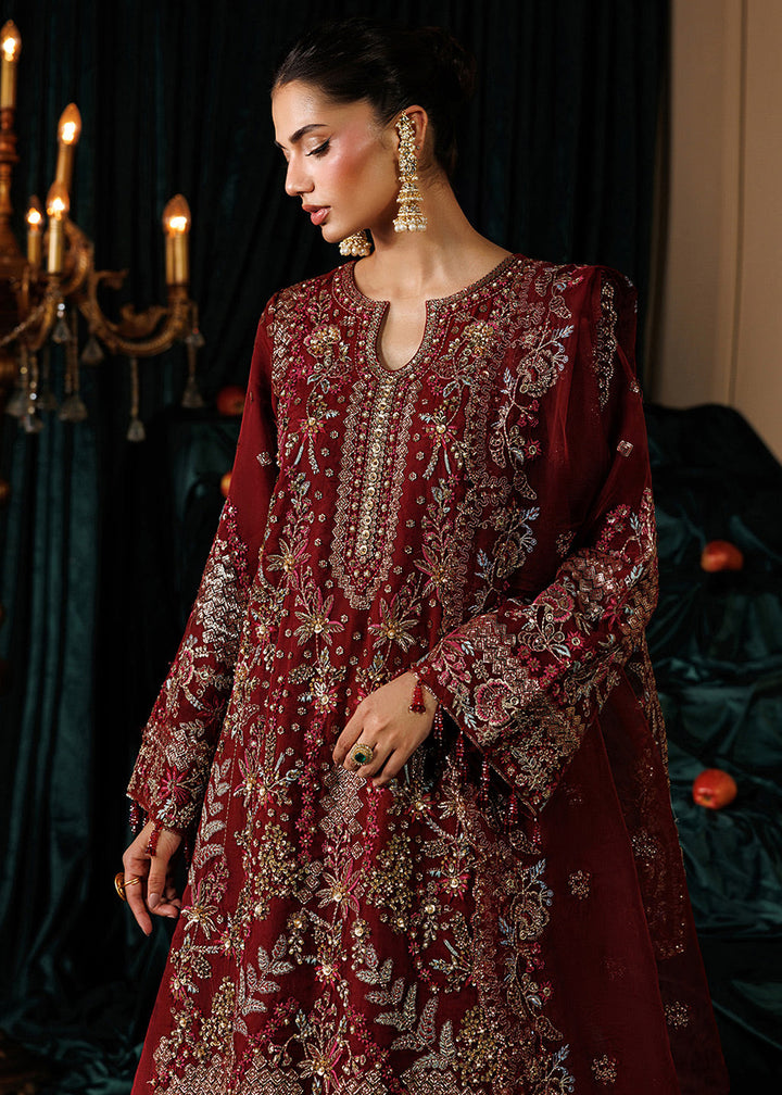 Buy Now Celeste Festive Edit &