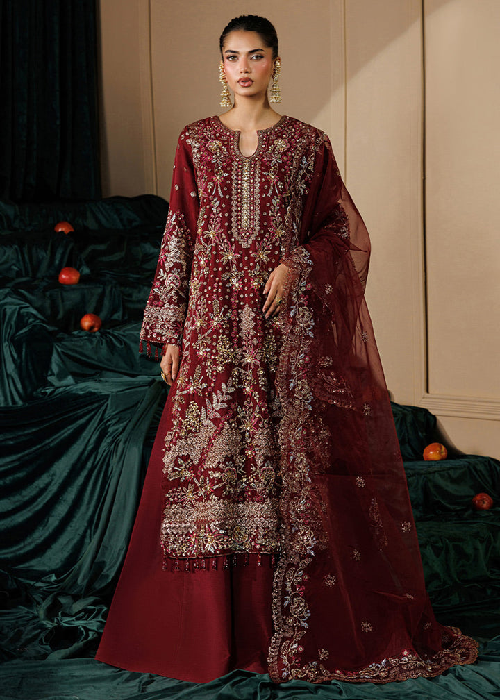Buy Now Celeste Festive Edit &