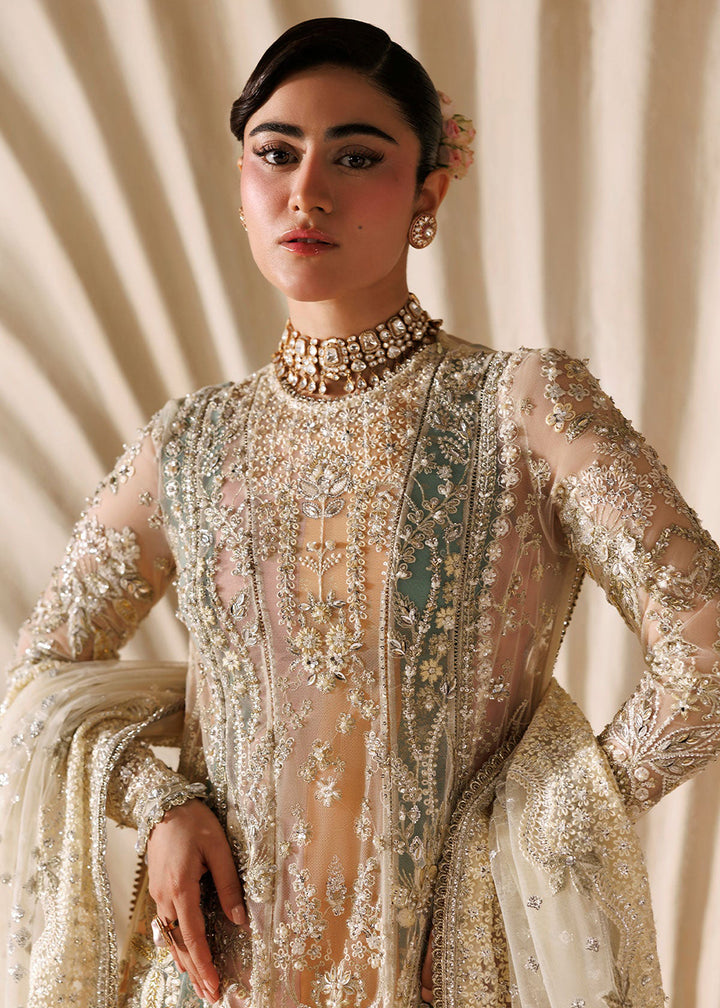 Buy Now Brides Edit &