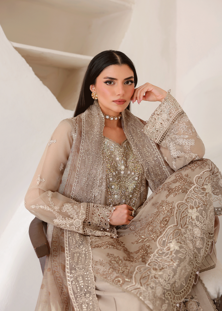 Buy Now Satrangi Premium Chiffon &