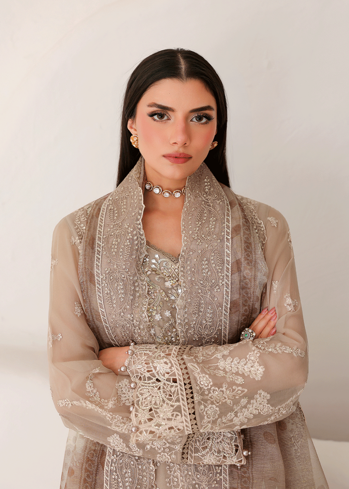 Buy Now Satrangi Premium Chiffon &