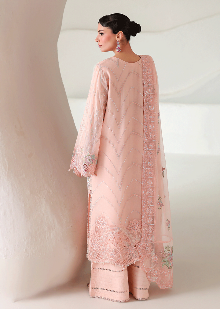 Buy Now Satrangi Premium Chiffon &