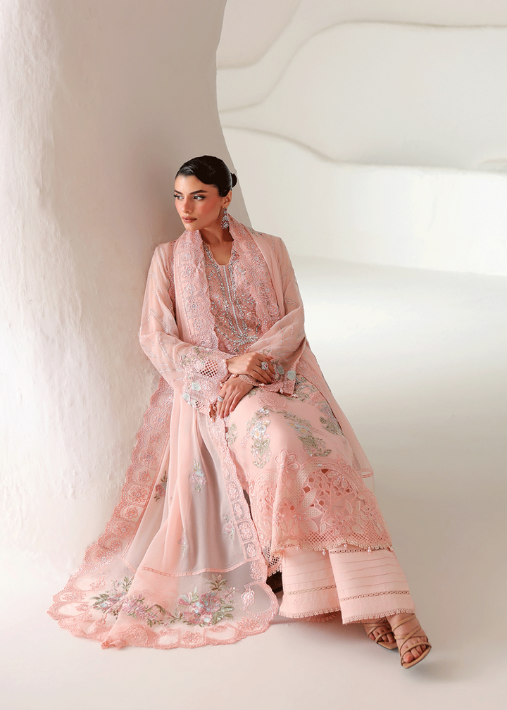 Buy Now Satrangi Premium Chiffon &