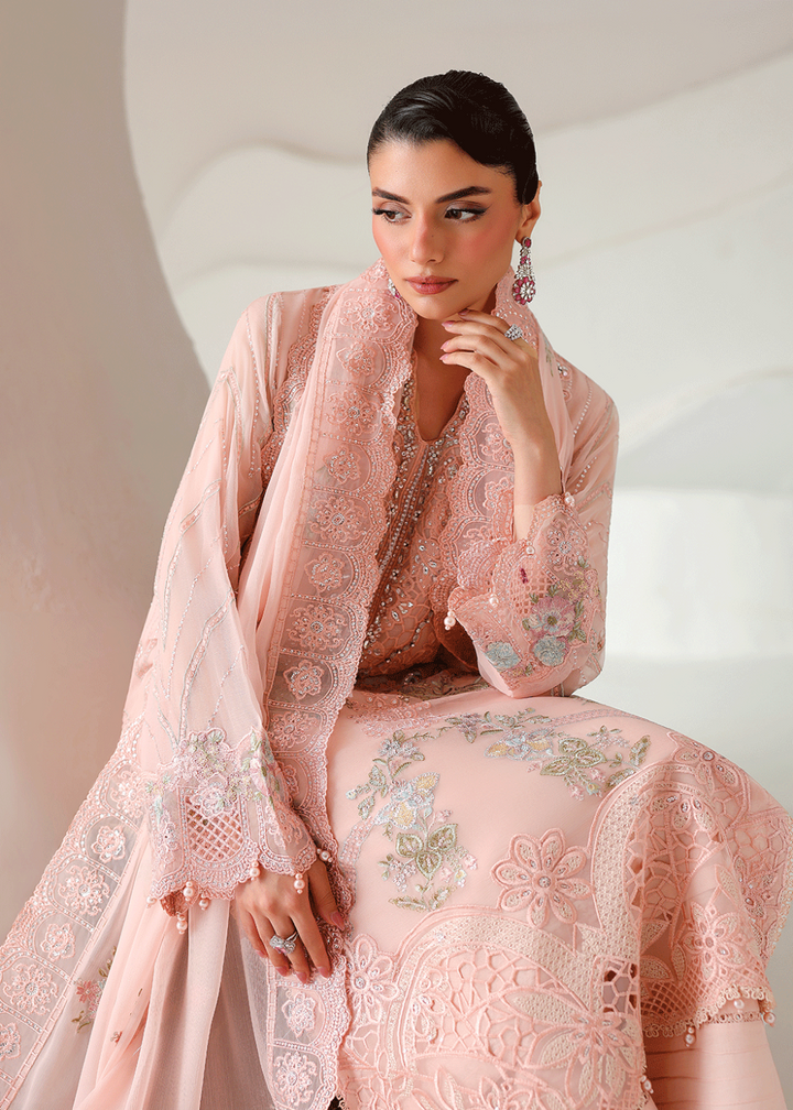 Buy Now Satrangi Premium Chiffon &