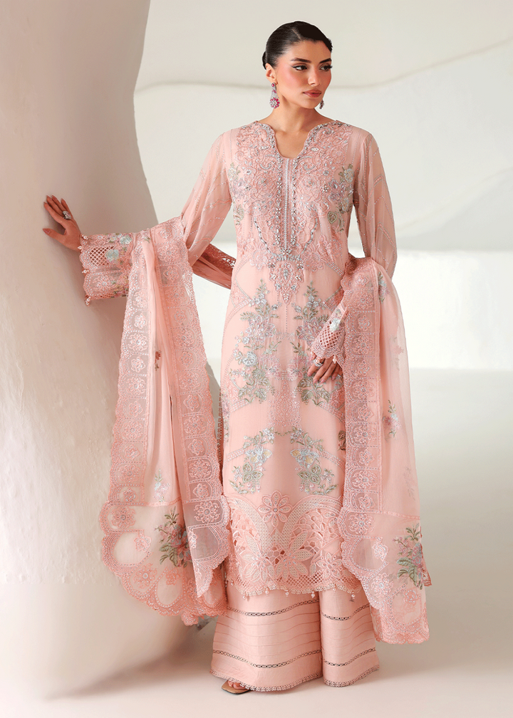 Buy Now Satrangi Premium Chiffon &