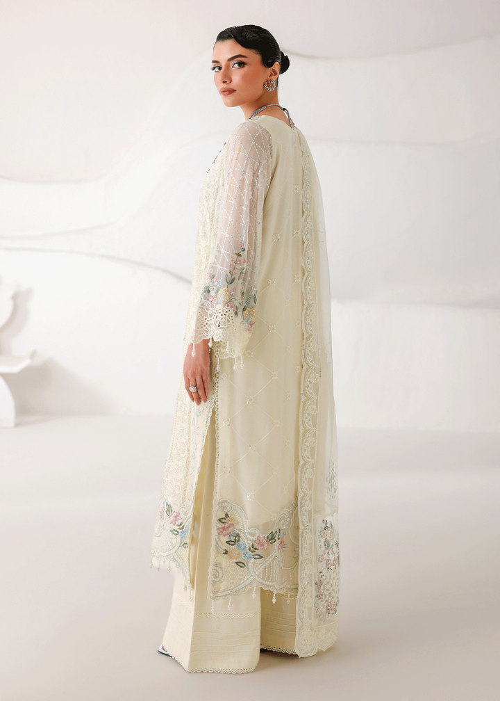 Buy Now Satrangi Premium Chiffon &