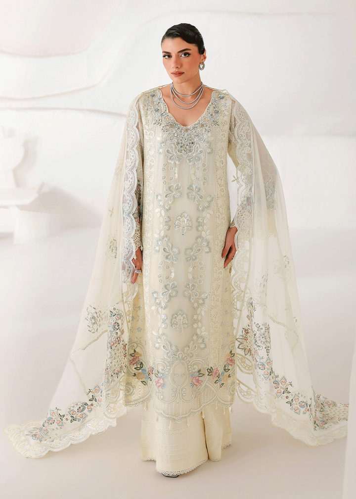 Buy Now Satrangi Premium Chiffon &