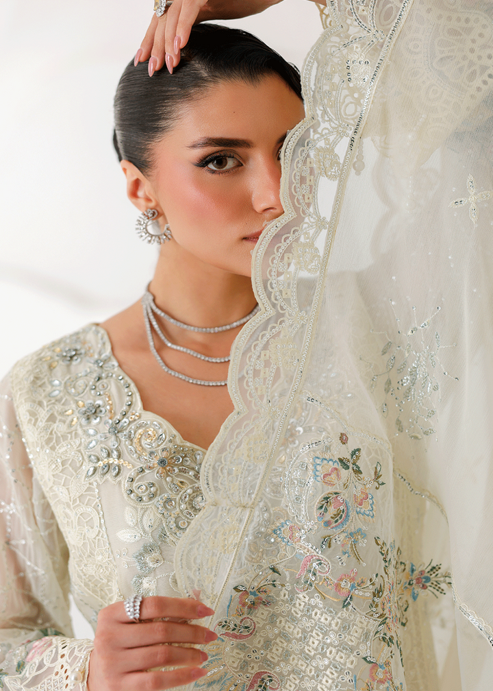Buy Now Satrangi Premium Chiffon &