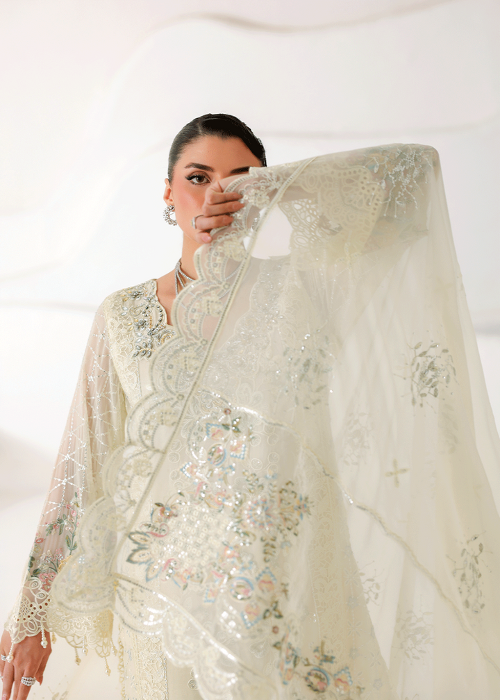 Buy Now Satrangi Premium Chiffon &