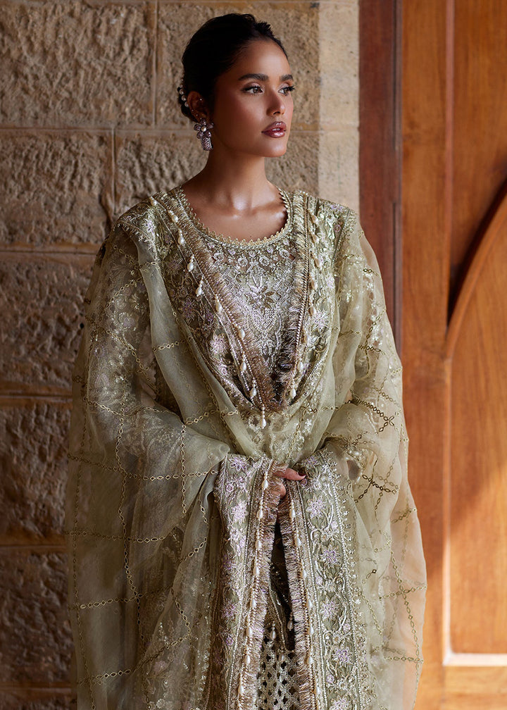 Buy Now Dastangoi Wedding Formals &